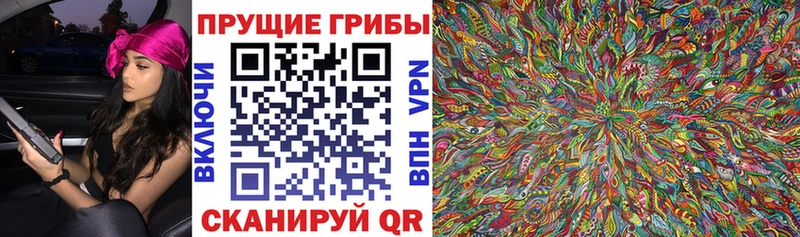 наркотики  Усть-Илимск  блэк спрут рабочий сайт  Псилоцибиновые грибы Psilocybe 