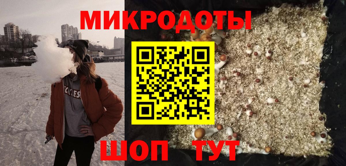 Усть-Илимск  Псилоцибиновые грибы Magic Shrooms  хочу наркоту  Галлюциногенные грибы Psilocybe  Вход с VPN 