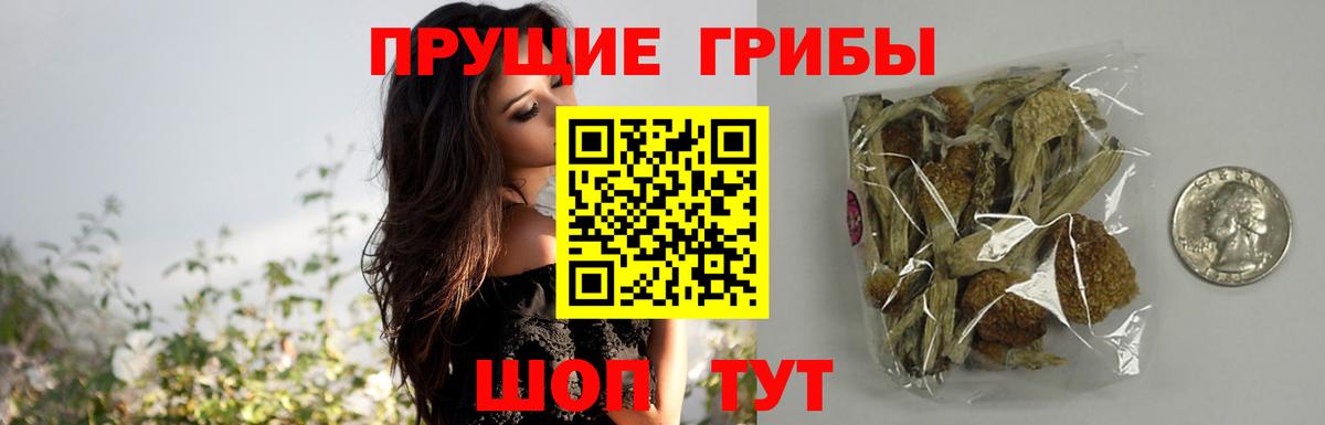 Псилоцибиновые грибы Cubensis Усть-Илимск